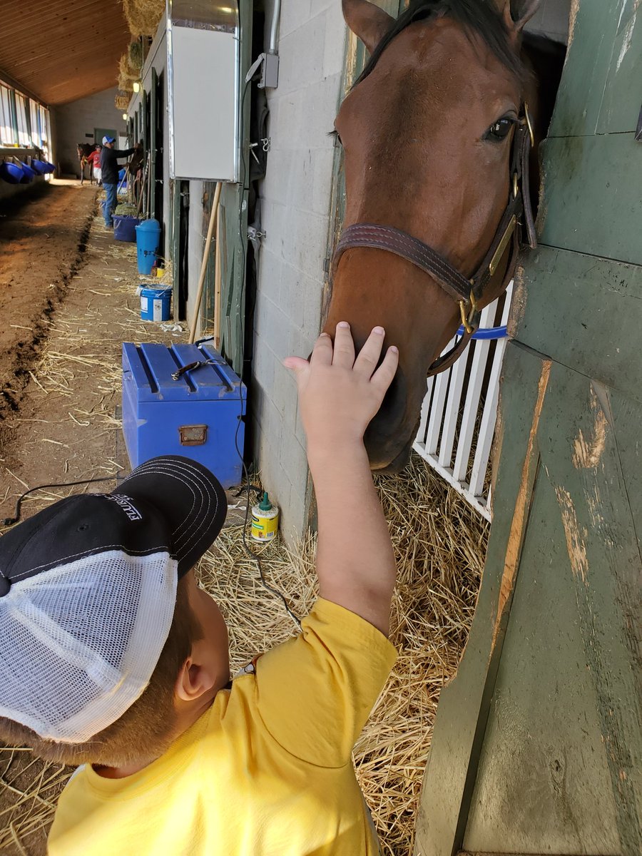 woody_tshirt's tweet photo. #wheresthewoodytshirt wishing #shedaresthedevil good luck 2day in the #ogdenphipps @Staton_Flurry @Flurry_Racing @bradcoxracing @CBredar  @BelmontStakes #letsgoflo @flothejock @BlakeCox16 @JorgitoAbrego  #wheretheturfmeetsthesurf2021 https://t.co/yH31UFiPQa