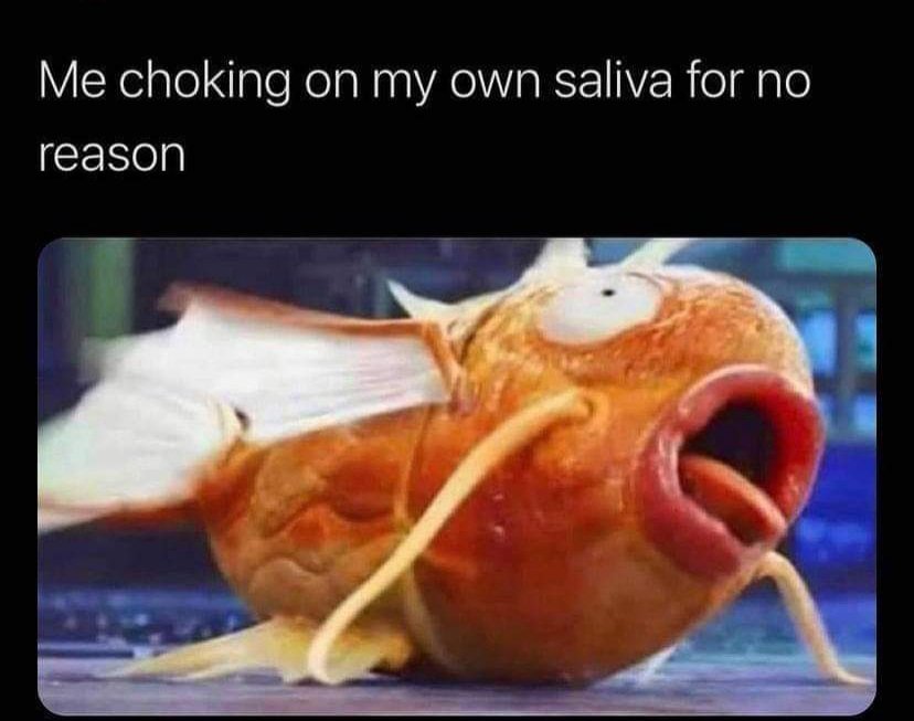 I also walk into walls, fall upstairs, and completely forget what I was going to say...ya, I'm super talented like that. 😂😂😂