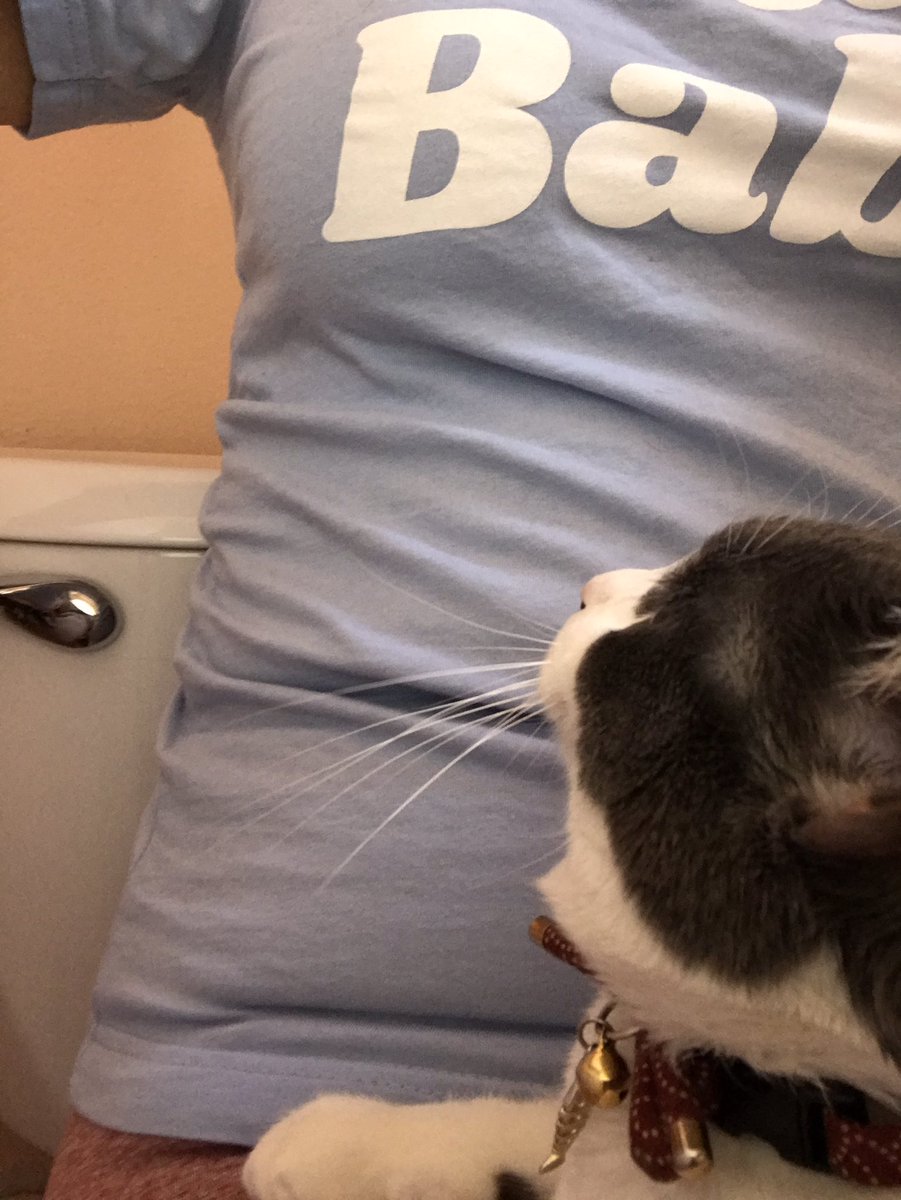 YourDailyFae's tweet photo. Happy #caturday, Fae family! Anybody else have that problem of their pets following them into the bathroom? Fae will sit on your lap! #shameless #ilovemycat #cats #kittens #gatitos #justforfun https://t.co/Ekjs65CzPK