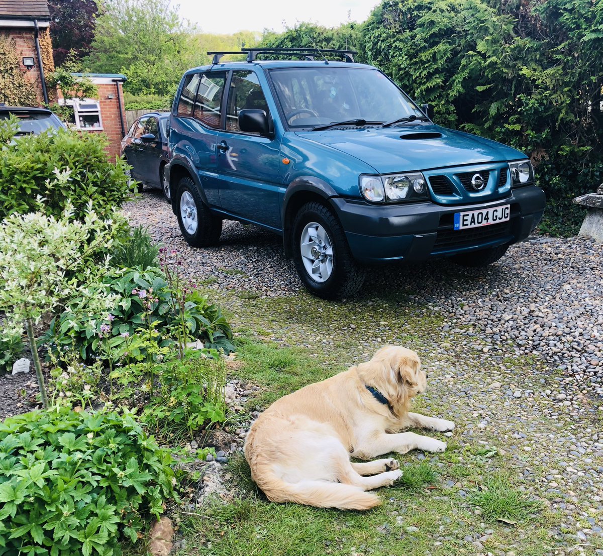 SouthgateCons's tweet image. Four hour valet + new water pump and exhaust. Good to go again for another 100K miles? #nissan4x4 #futureclassics #dogcar