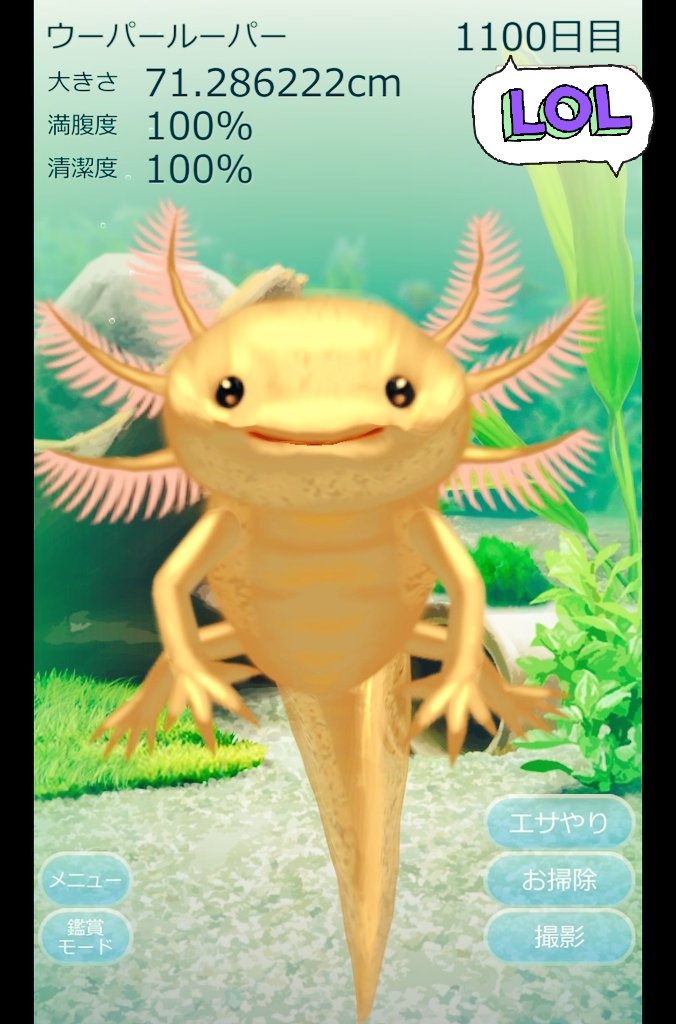 ウーパールーパー育成アプリ Twitter Search Twitter