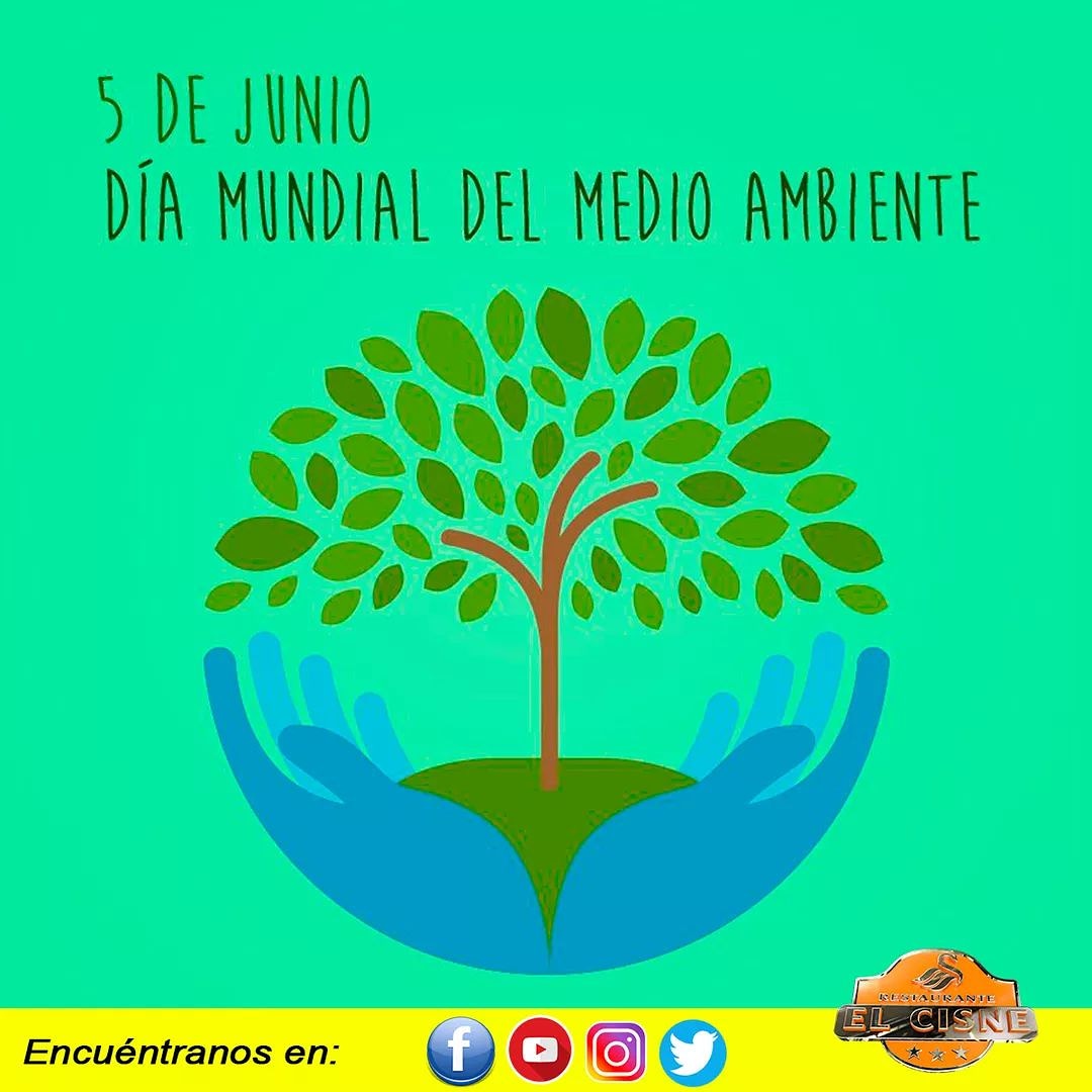 ElCisneCbba's tweet photo. No lo arruines. Los buenos planetas son difíciles de encontrar.
🌳🌴🌲🍀🌵🌎💦😊
Planta árboles y cuidalos!!! 

#DíaDelMedioAmbiente #elcisnerestaurante https://t.co/rsLKj8HtZt