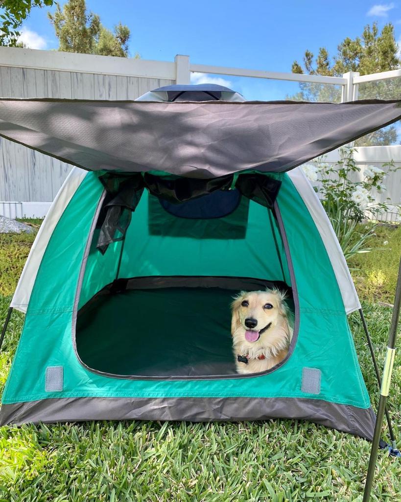 syncra silent 4.0 pump