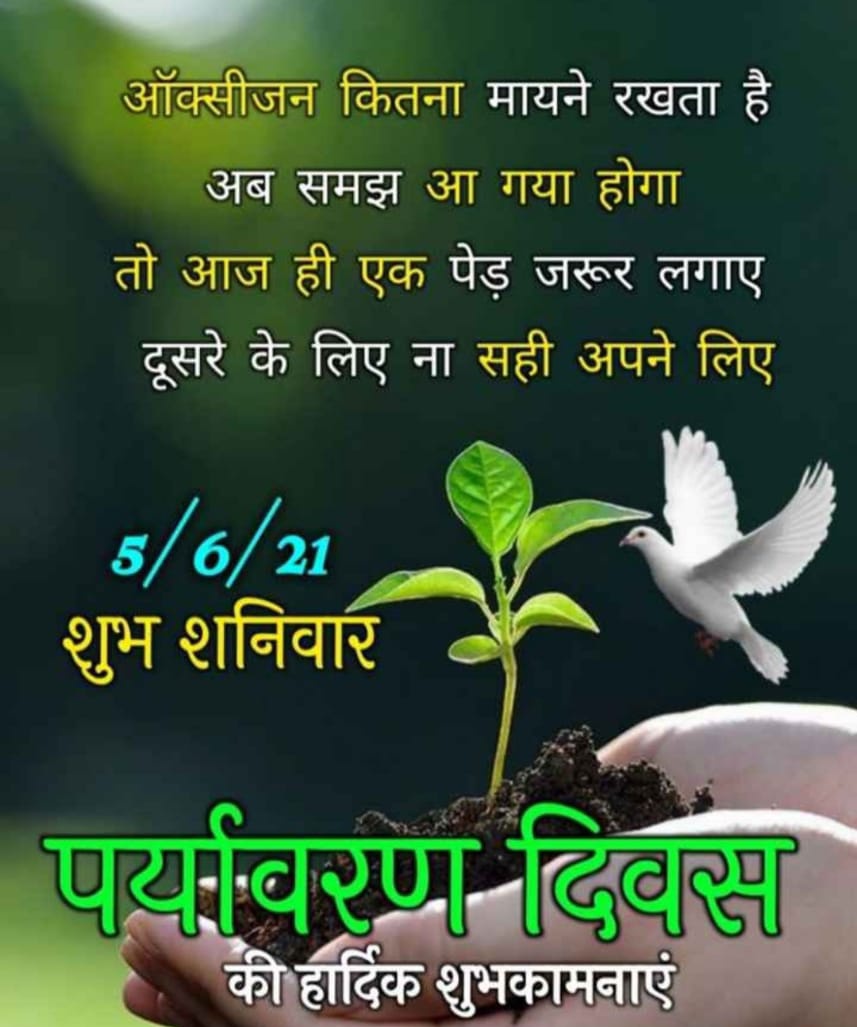 RamcharanTribal's tweet photo. आज की लिस्ट 👇
हमेशा किसान सपोट,बैरोजगार सपोट,#जल_जंगल_जमीन प्रकृति की रक्षा के लिखने वाला 👉 @_vkmeena
सभी साथी #Follow करें
#saveBuxwahaforest
#save_bastar 
#WorldEnvironmentDay https://t.co/POUGkRmB3v