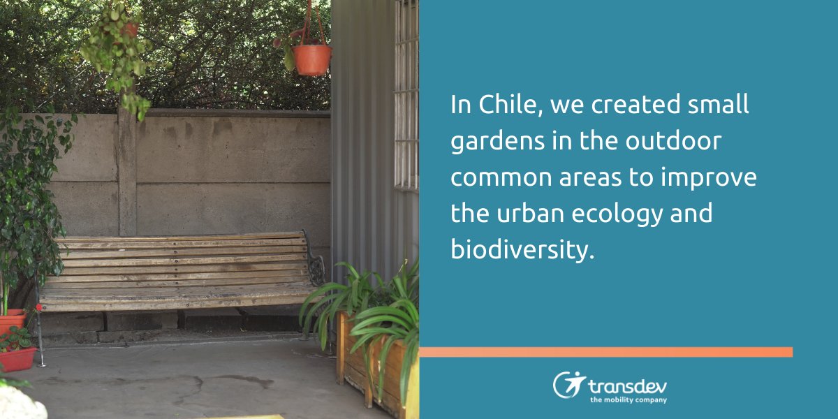 Transdev's tweet image. In Chile 🇨🇱, like in many of our locations, infrastructure is composed mostly of concrete, asphalt and rolling stock. To improve the urban ecology and biodiversity, @TransdevChile created small gardens in the outdoor common areas.
#WordEnvironmentDay #GreenWall