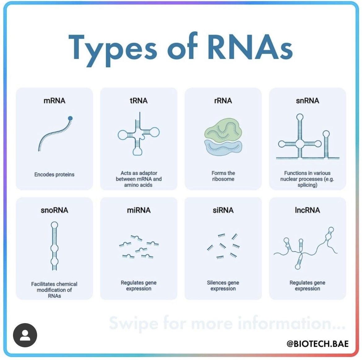 Biology1802's tweet photo. #ملتقى_علوم_الاحياء
ال RNA ليس ثلاثة انواع فقط و إنما أكثر من ذلك فتعرفوا على انواعه و وظائف كل نوع https://t.co/niCvxf7Dhb