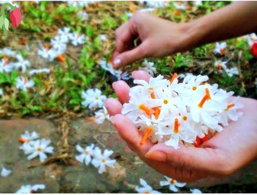 April Phool