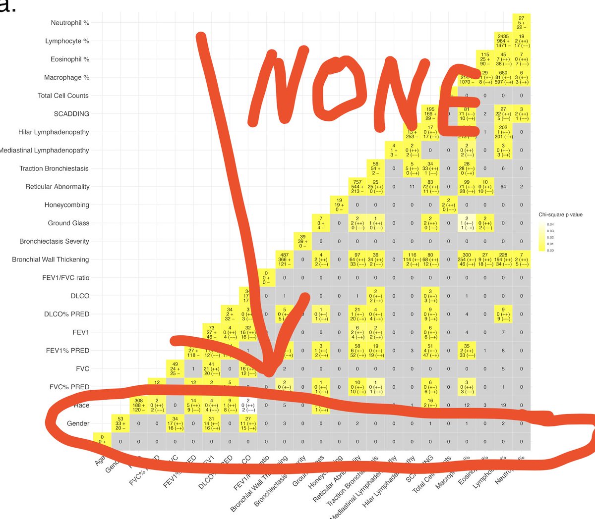 Naftali Kaminski tweet media