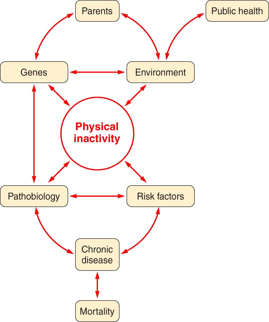 benestarsl's tweet photo. ยซPhysical inactivity is an underappreciated cause of almost all chronic diseases/conditions, whose outcome increases mortality and decreases healthspanยป
๐ https://t.co/P9i1ygJ5Q9
#BePhysicallyActive
#KeepMoving https://t.co/43lp05CPXg