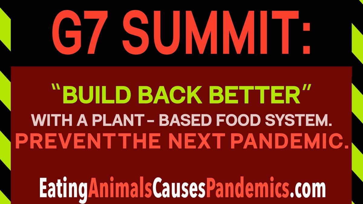 Dr. Kathleen Kevany (@kathleenkevany) on Twitter photo #BuildBackBetter with a plant-based food system & prevent the next pandemic
Modern animal farms are petri dishes for viruses
<a href="/G7/">G7</a> <a href="/UKAMREnvoy/">Prof. Dame Sally Davies</a> <a href="/SecBecerra/">Secretary Xavier Becerra</a> <a href="/BorisJohnson/">Boris Johnson</a> <a href="/Europarl_EN/">European Parliament</a>
<a href="/DrTedros/">Tedros Adhanom Ghebreyesus</a> <a href="/PattyHajdu/">Patty Hajdu</a> #BuildBackBetter with a plant-based food system & prevent the next pandemic
Modern animal farms are petri dishes for viruses
<a href="/G7/">G7</a> <a href="/UKAMREnvoy/">Prof. Dame Sally Davies</a> <a href="/SecBecerra/">Secretary Xavier Becerra</a> <a href="/BorisJohnson/">Boris Johnson</a> <a href="/Europarl_EN/">European Parliament</a>
<a href="/DrTedros/">Tedros Adhanom Ghebreyesus</a> <a href="/PattyHajdu/">Patty Hajdu</a>