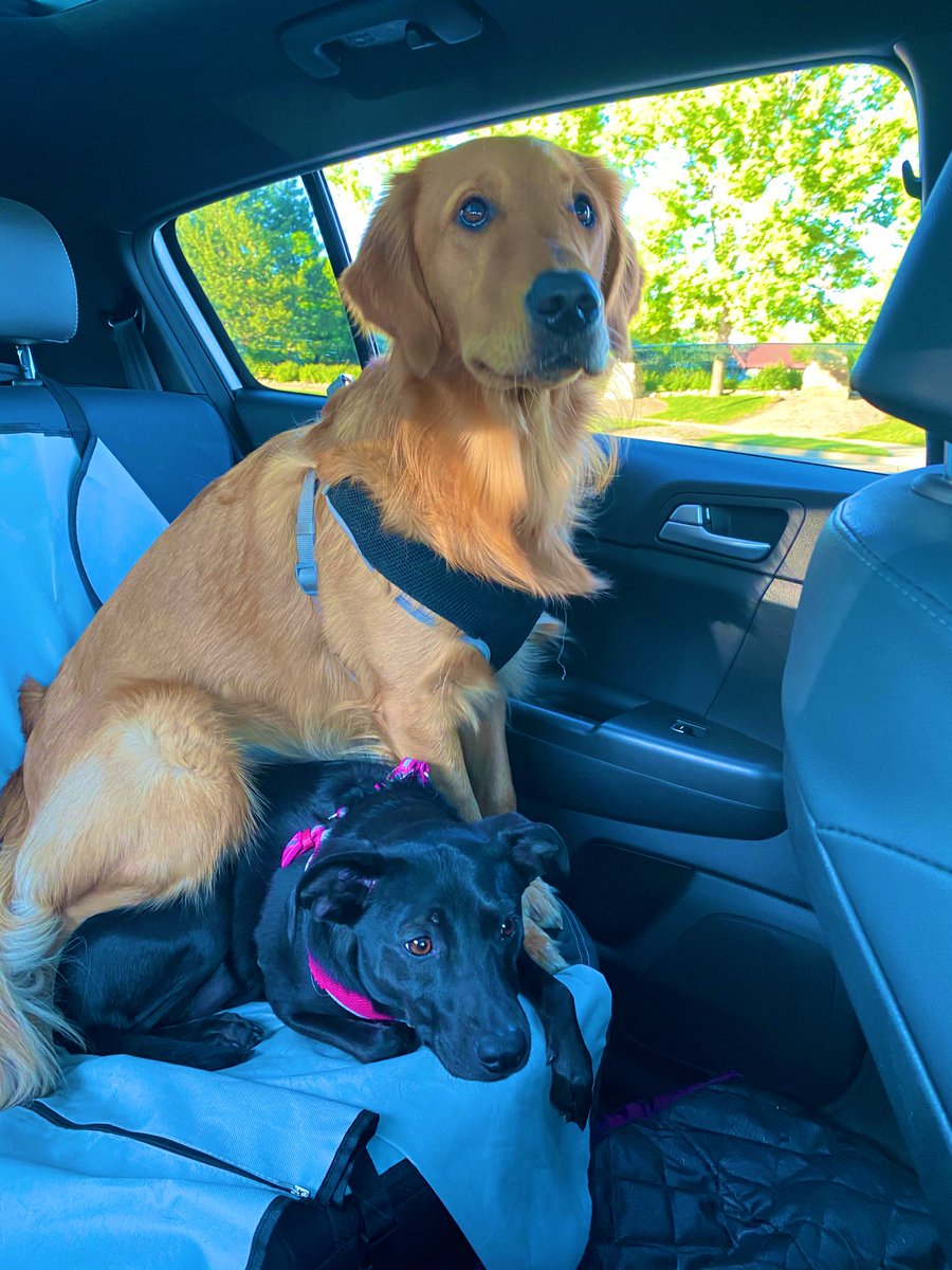 a_hernandez80's tweet photo. What do you mean there’s a whole backseat? https://t.co/RZJ3yarJ4t