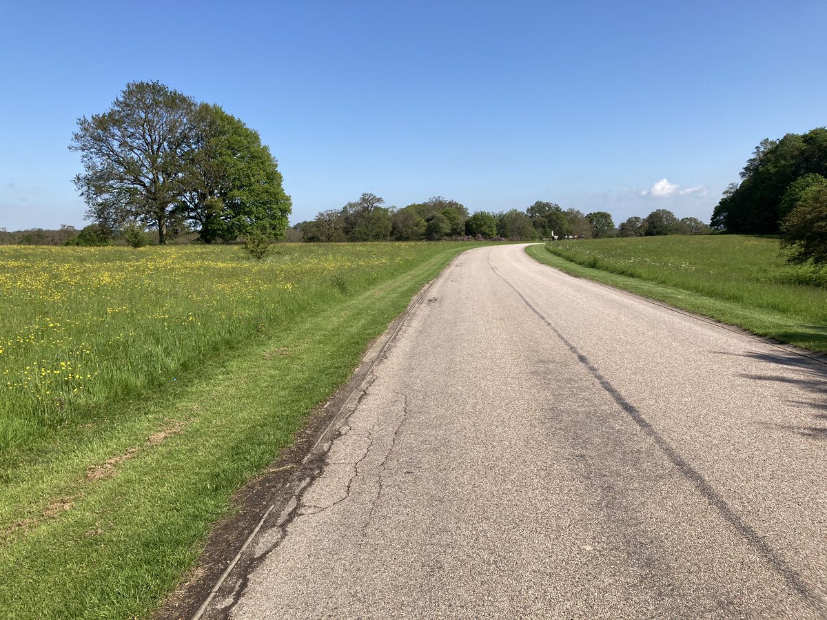 Not steep enough to count as training for the upcoming <a href="/StrawbHillVelo/">Strawberry Hill Velo</a> Tour de Brecon Beacons. Apparently they have more hills there than Hampton and Strawberry combined!!! #shvelo