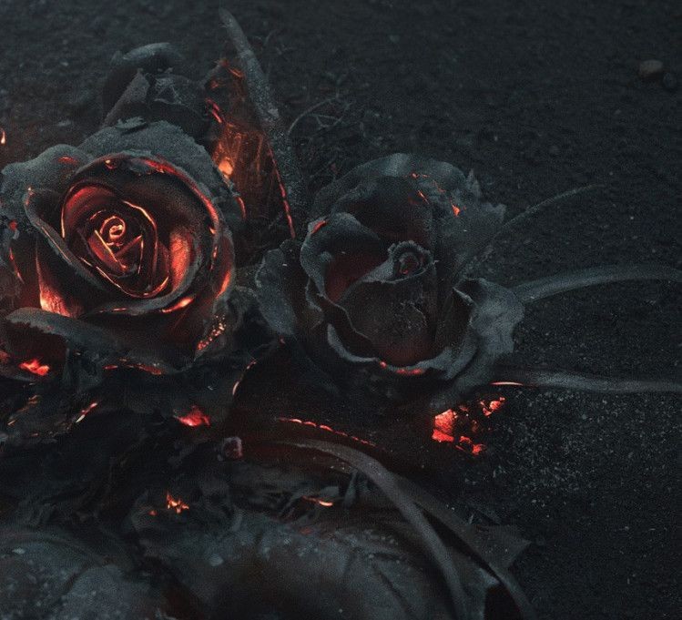 XLightOfShadows's tweet image. ⸻❛No eѕтα мυerтo lo qυe yαce eтerɴαмeɴтe y coɴ el pαѕo de loѕ eoɴeѕ, ιɴclυѕo lα мυerтe pυede мorιr ❜

❃ೃ•୭ Demigoddess.
❃ೃ•୭ Owner a bookshop.