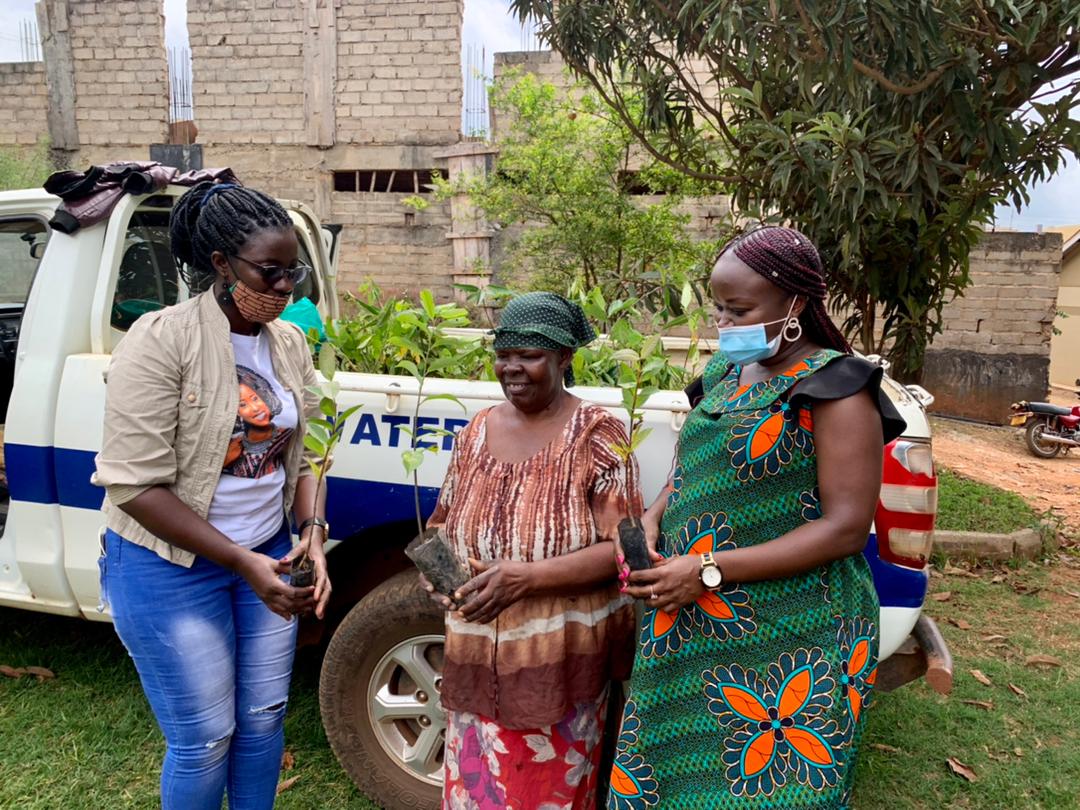 Today, NWSC Ntinda office distributed hundreds of tree seedings to our dear customers in Ntinda. Plant a tree today and save the future. #NWSCTreeVolution #ATree4EveryCustomer <a href="/NWSCMD/">Dr. Silver Mugisha</a>
