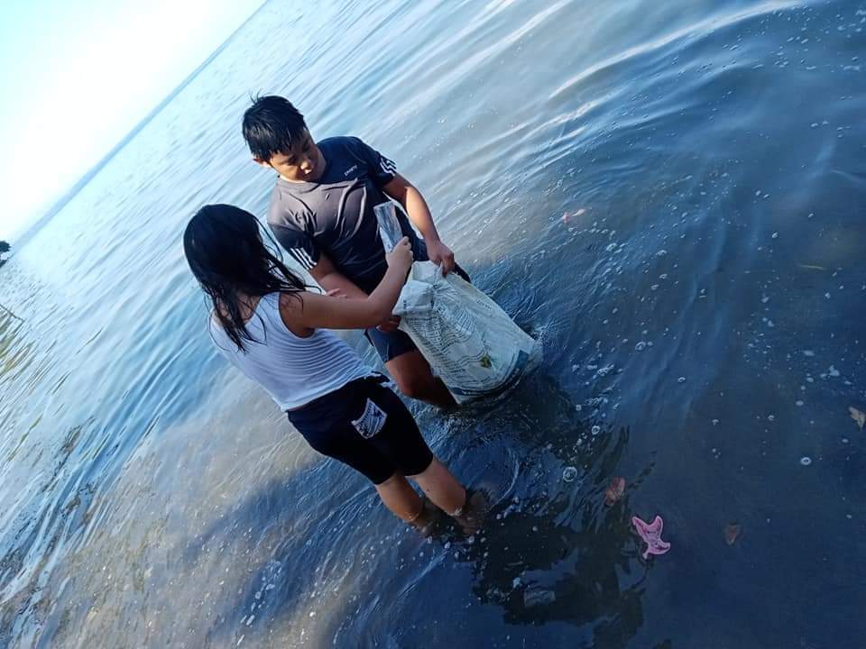 bcsator's tweet image. simple picking of plastics #WorldEnvironmentDay2021