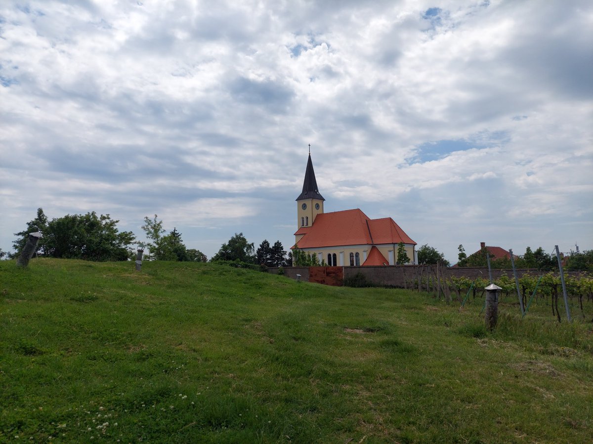 tomasUrban77's tweet photo. Moje milovaná jižní Morava ❤ #jižníMorava #Kobylí #Vrbice #Pálava https://t.co/vCtGHcg0Ir
