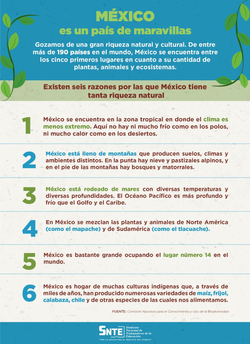 FEDESSPJALISCO's tweet photo. #SNTEconMéxico 👩‍🏫🇲🇽👨‍🏫

Sabías que México es uno de los países con mayor riqueza natural 🤔❓ Conoce el porqué y súmate, como los maestros #SNTE 🍎📚 a la preservación de los ecosistemas

#5deJunio 🗓️
#DiaMundialDelMedioAmbiente 
Piensa verde 🌳 por un planeta azul 💦 https://t.co/5dNRgnX7y6