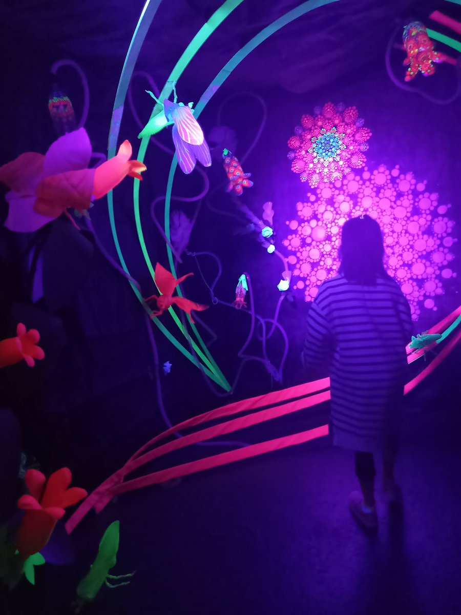 BoarnieB's tweet photo. Caught the super @Uliunique1 exhibition today its magical #weekendvibes #familyfun https://t.co/2yM19s3GhY