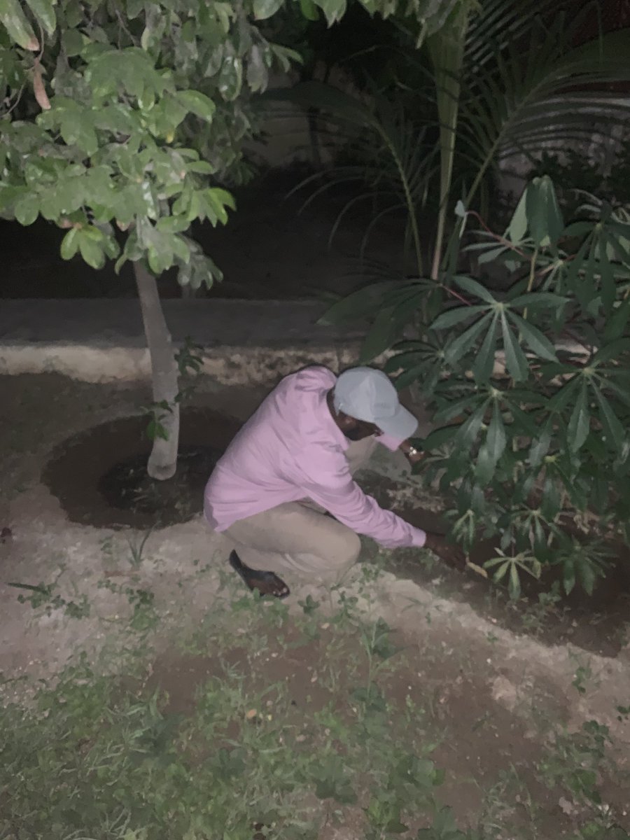 AfrSolution's tweet photo. Plant🌴 go #GreenMogadishu Stop deforestation, make our World clean♻️ to Create J Opportunitie #RestoreEcosystem #EnvironmentSomalia @UNEP @HodderClimate @DECC_Somalia @KhadarGulaid @MohamedHRoble
@EU_in_Somalia @IOM_Somalia https://t.co/cTkXoKWhWc
