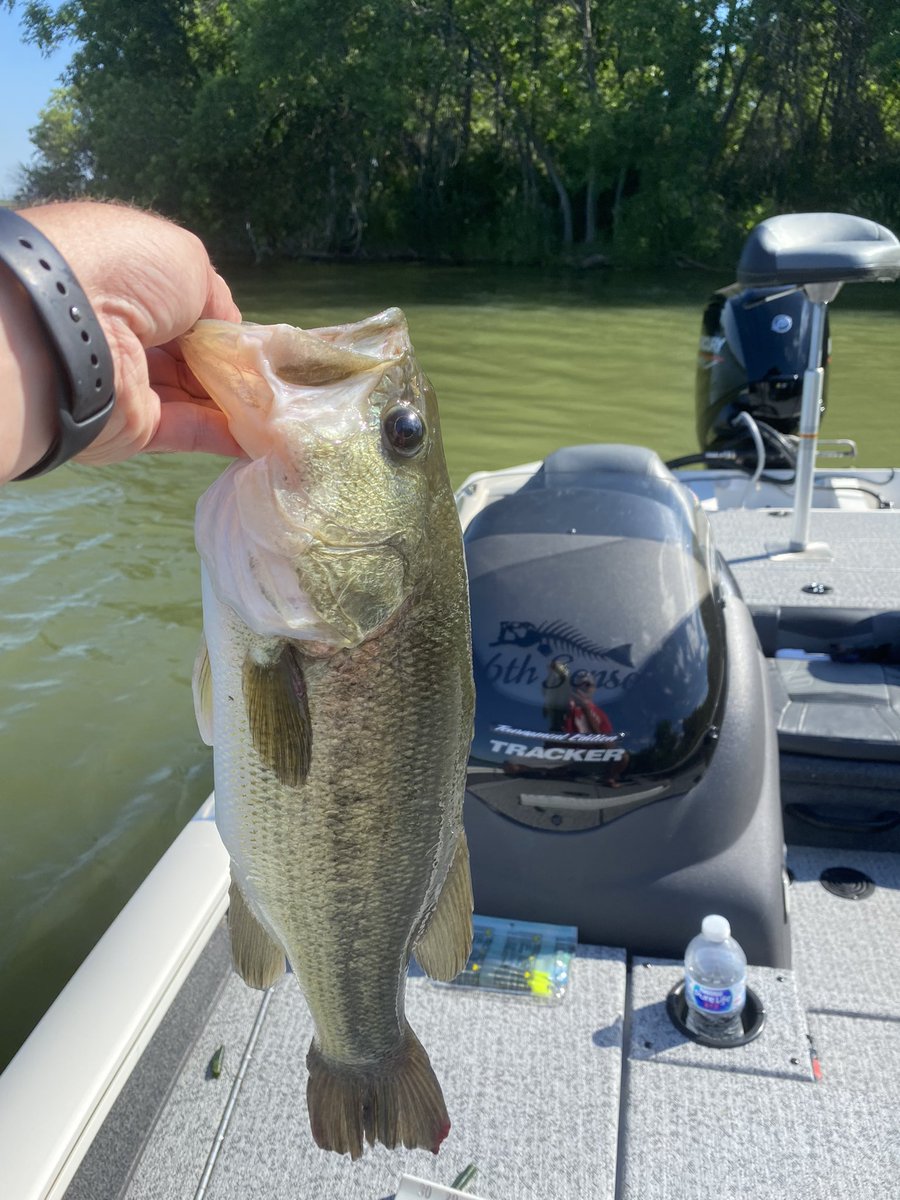 jackson3475's tweet photo. Good morning on the lake 👌🏻🎣
@trackerboats @BassProShops @MajorLeagueFish #bassfishing #Basstracker #Fishing https://t.co/uzll83TdnI