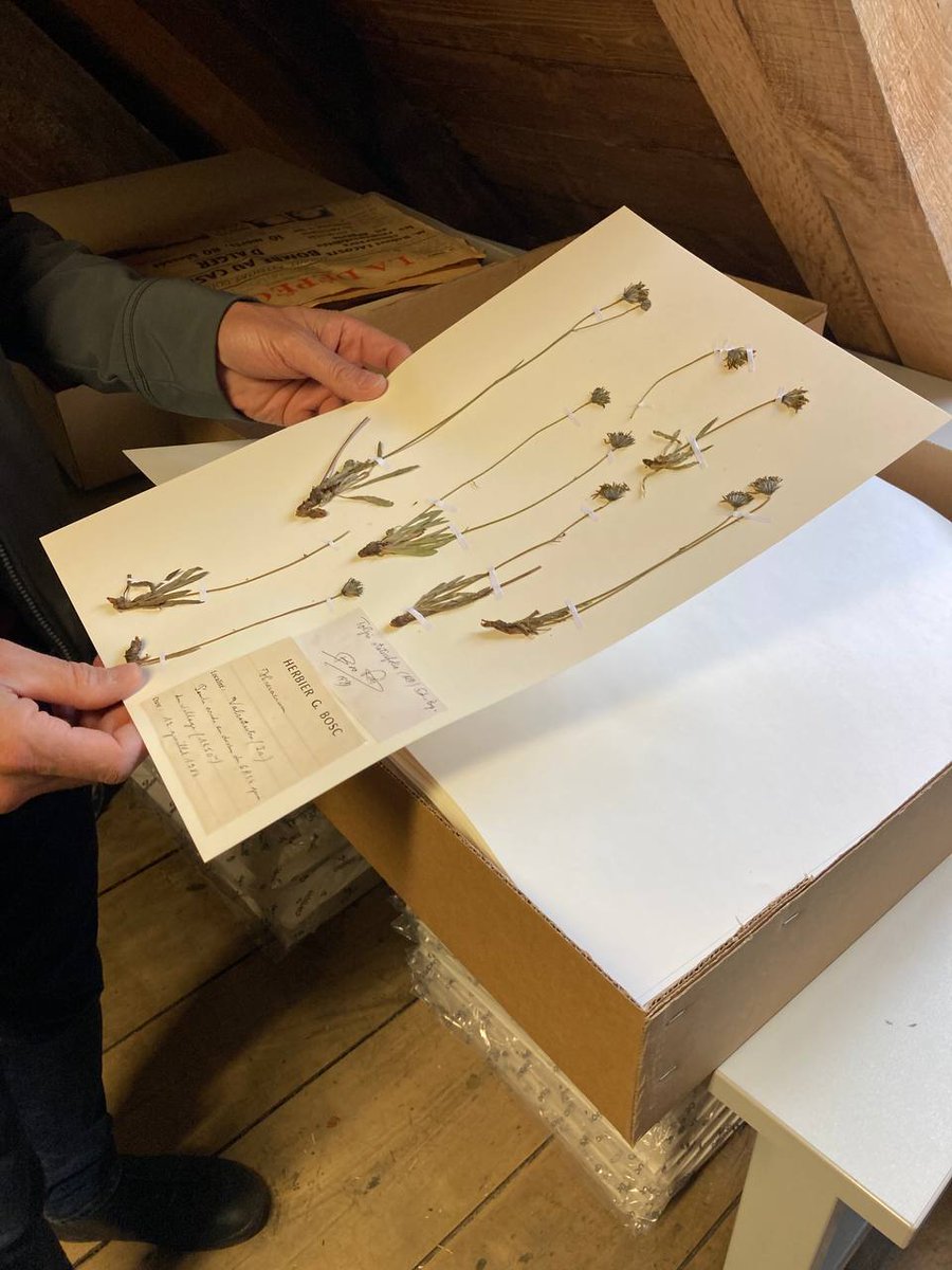 À Bagnères-de-Bigorre, visite du conservatoire botanique qui œuvre pour la prise en compte de la biodiversité mais aussi pour l'emploi. 
Si aujourd'hui 30 personnes y travaillent déjà à temps plein, le lieu bénéficie encore d'un potentiel de création d'emplois non délocalisables.