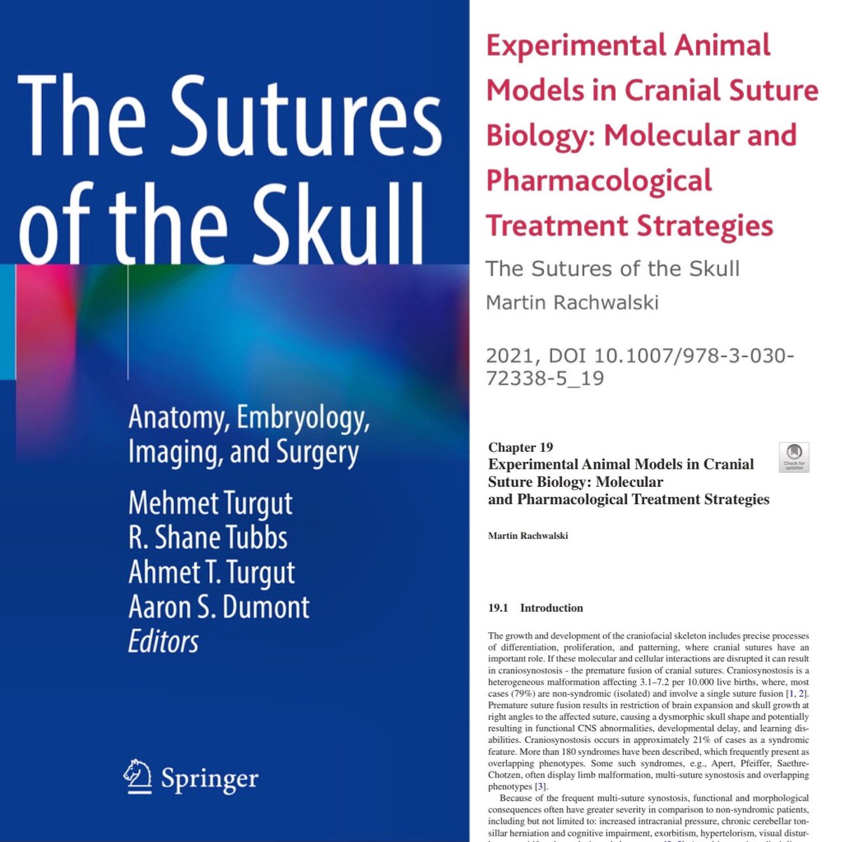 Dr. Martin Rachwalski (@drrachwalski) on Twitter photo I am very honored for having been invited to contribute a chapter on „Experimental Animal Models in Cranial Suture Biology: Molecular and Pharmacological Treatment Strategies“ in the new book „The Sutures of the Skull“ published by Springer <a href="/SpringerNature/">Springer Nature</a> <a href="/APHP/">Assistance Publique – Hôpitaux de Paris (AP-HP)</a> <a href="/FiliereTETECOU/">Filière TETECOU</a> I am very honored for having been invited to contribute a chapter on „Experimental Animal Models in Cranial Suture Biology: Molecular and Pharmacological Treatment Strategies“ in the new book „The Sutures of the Skull“ published by Springer <a href="/SpringerNature/">Springer Nature</a> <a href="/APHP/">Assistance Publique – Hôpitaux de Paris (AP-HP)</a> <a href="/FiliereTETECOU/">Filière TETECOU</a>