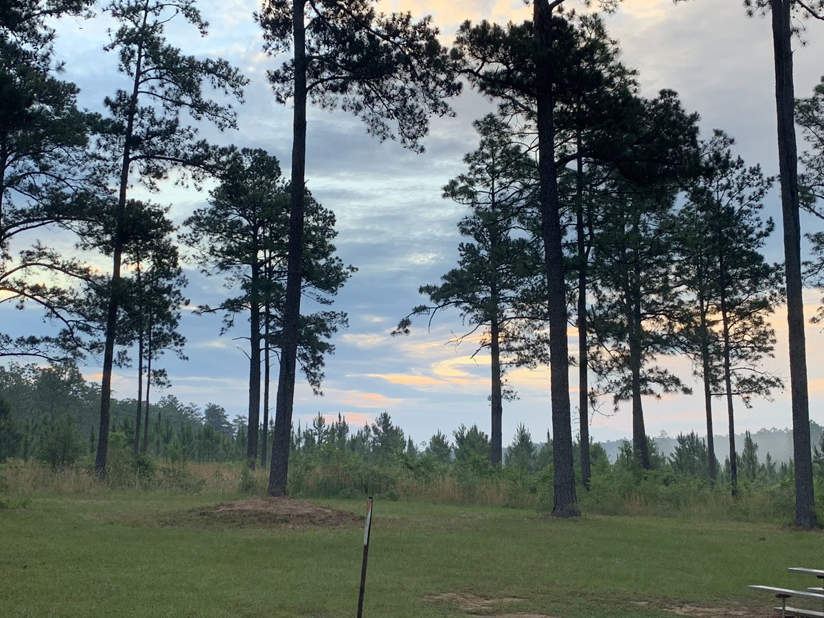 Alpha Company, 73rd Ordnance Battalion tweet media