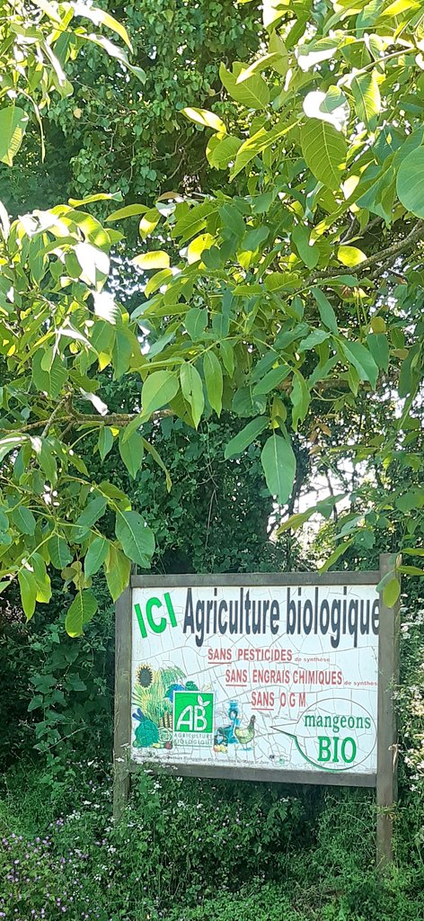 KarineEngel49's tweet photo. #journeenationale #environnement 
Au programme :
➡️ inauguration bac électrique ecouflant/cantenay
➡️ déjeuner de soutien av la maire du Plessis-Macé #merci 
➡️ continuité voie douce &amp; écluse à Longuenée #anjou 
➡️ pblématique agri bio #angers4 

#angers #electionsdepartementales https://t.co/wo2CyC4oIa