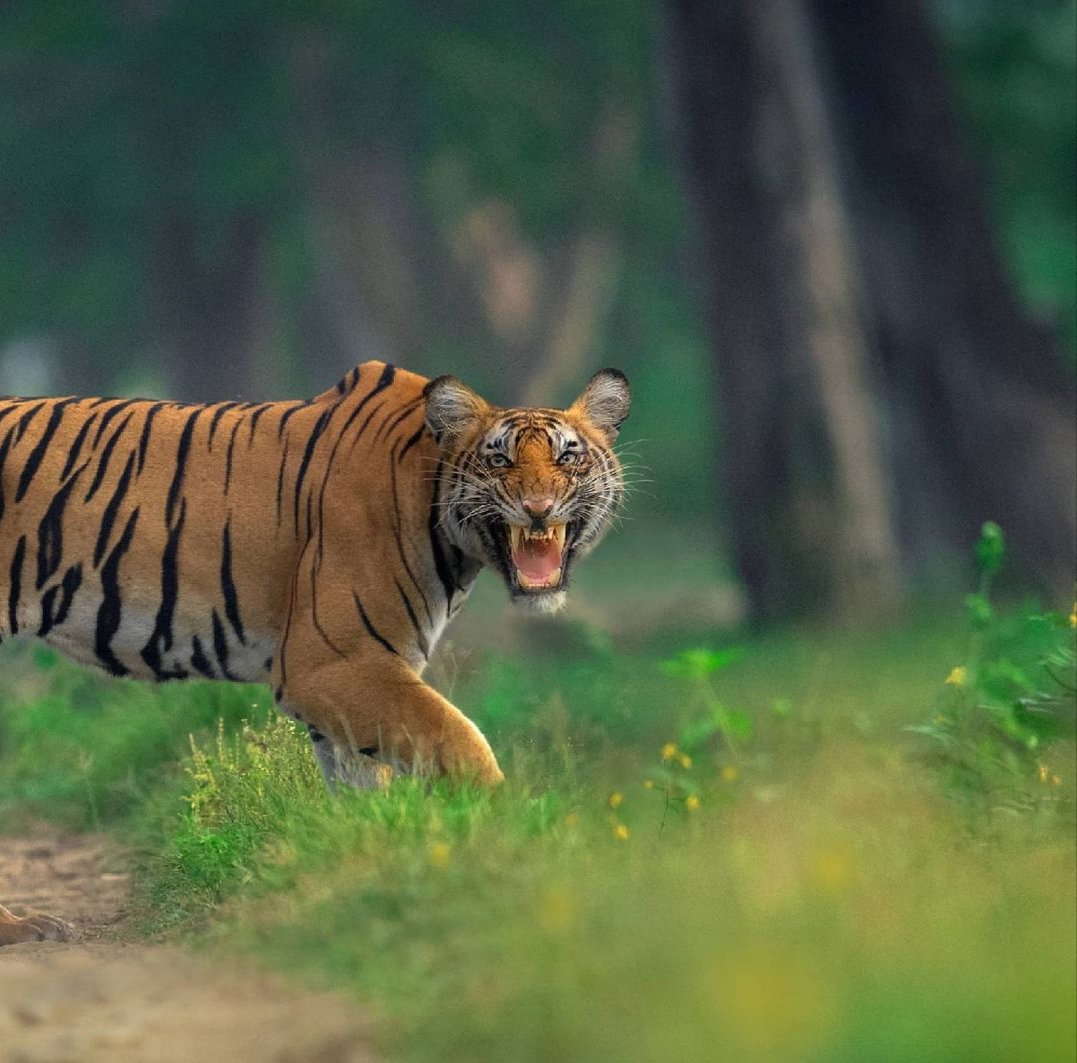 ononnatgeo's tweet photo. Kızgın.. https://t.co/owLgaWCglw