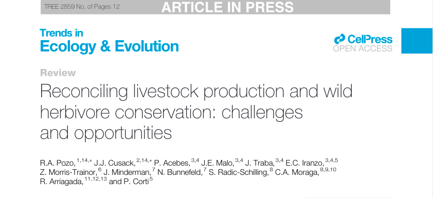 I am thrilled to share our new paper on #ConservationConflicts (&amp; ways forward!) involving #domestic &amp; #wild #herbivores <a href="/Trends_Ecol_Evo/">Trends in Ecology & Evolution</a>!! 🥳 A little thread about it here 👇 <a href="/jeremyjcusack/">Jeremy Cusack</a> @bunnefeld <a href="/jejoenje/">Jeroen Minderman</a> @zara_mt  <a href="/clmoraga/">Claudio Moraga</a> <a href="/CortiPaulo/">Paulo Corti</a> @JuanTraba1 <a href="/radich_sergio/">Sergio radich</a>