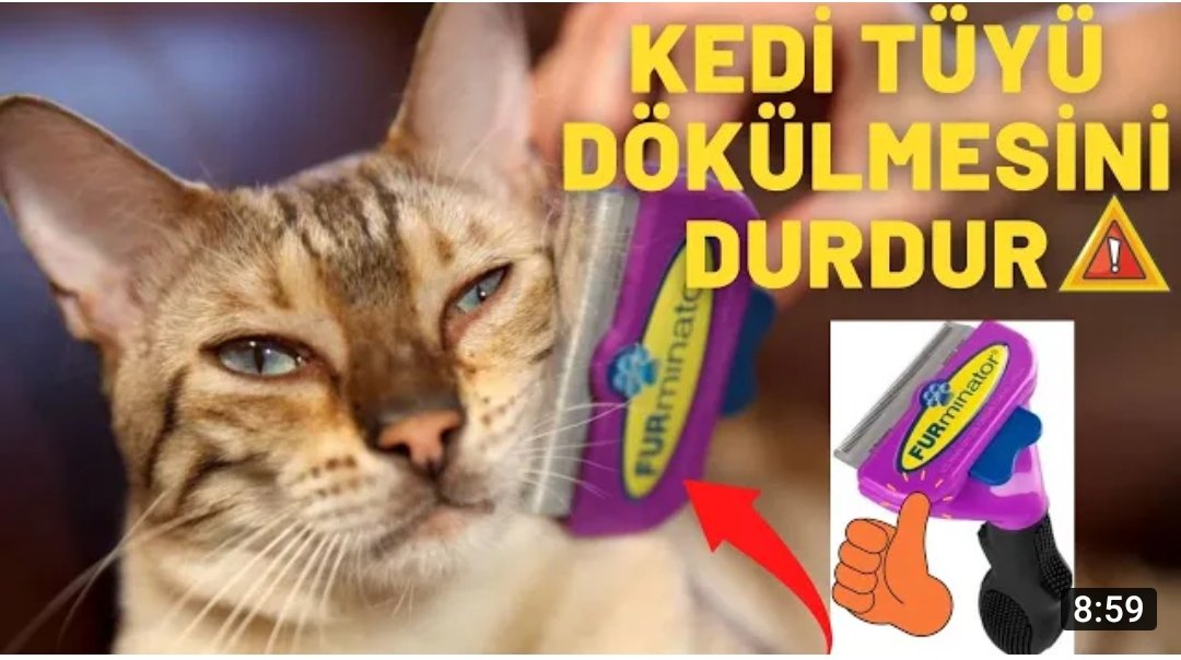 Videomuzu İzlermisiniz patiler🙏👋
youtu.be/bY4TiEyT0vY