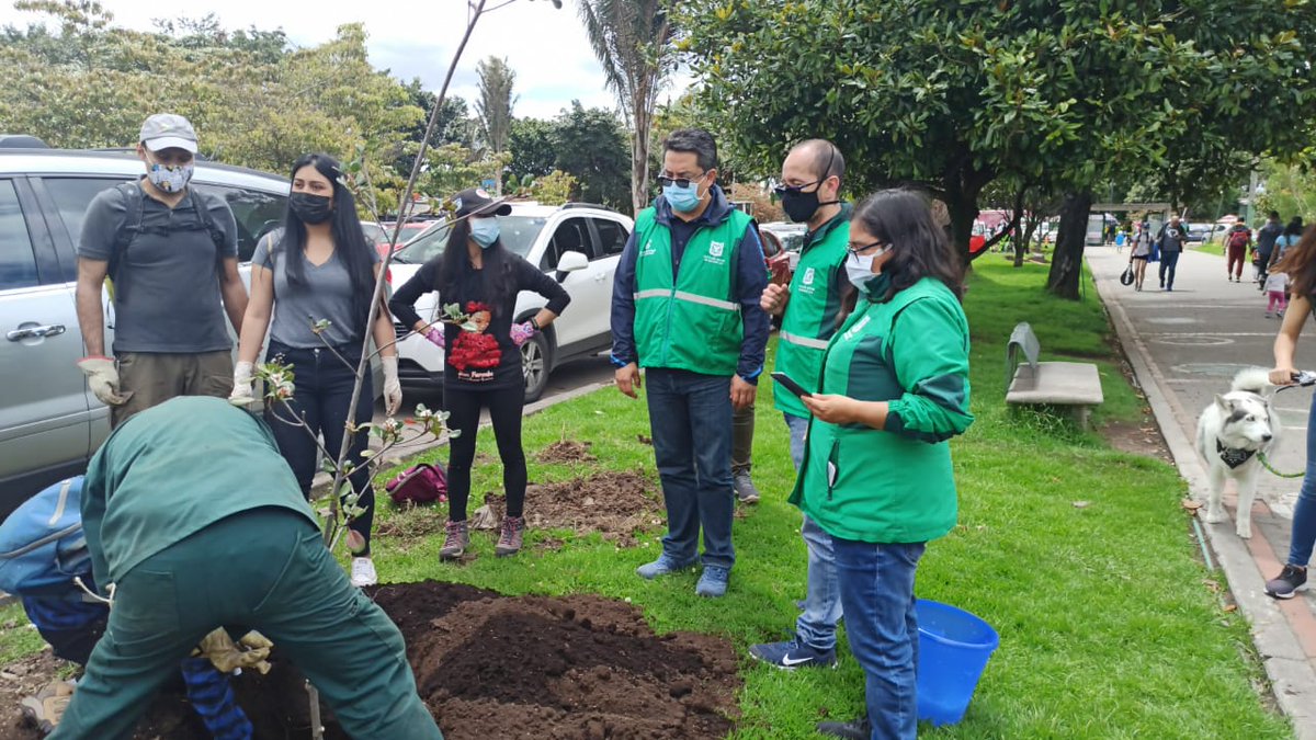 JBotanicoBogota's tweet photo. #SemanaAmbiental2021🍃| En compañía de la comunidad y la Red de Cuidadores Green Heart plantamos árboles de las especies: Arrayán Palma de cera, Pino Romeron, Guayacán de Manizales, en el Parqueadero de la Bolera #BogotáReverdece🌳 https://t.co/MDvj351L6c