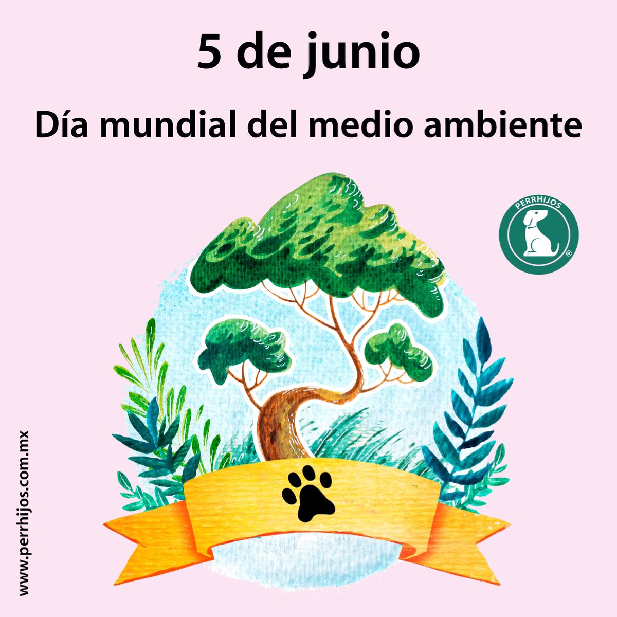 perrhijos's tweet photo. Dejemos una huella positiva en él 🐾🍃🙏🏼
#diamundialdelmedioambiente #perrhijos #perrhijosmexico #environmentworldday https://t.co/naOfPlvzw5