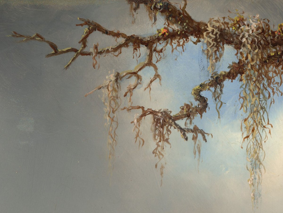 ngadc's tweet photo. “Yesterday’s flowers are today’s dreams.” — Japanese Proverb

🔎 Martin Johnson Heade's mystical world of flora and fauna 🌱

Take an even closer look ➡ https://t.co/UWc6ebZil9 https://t.co/RyPesEEplu