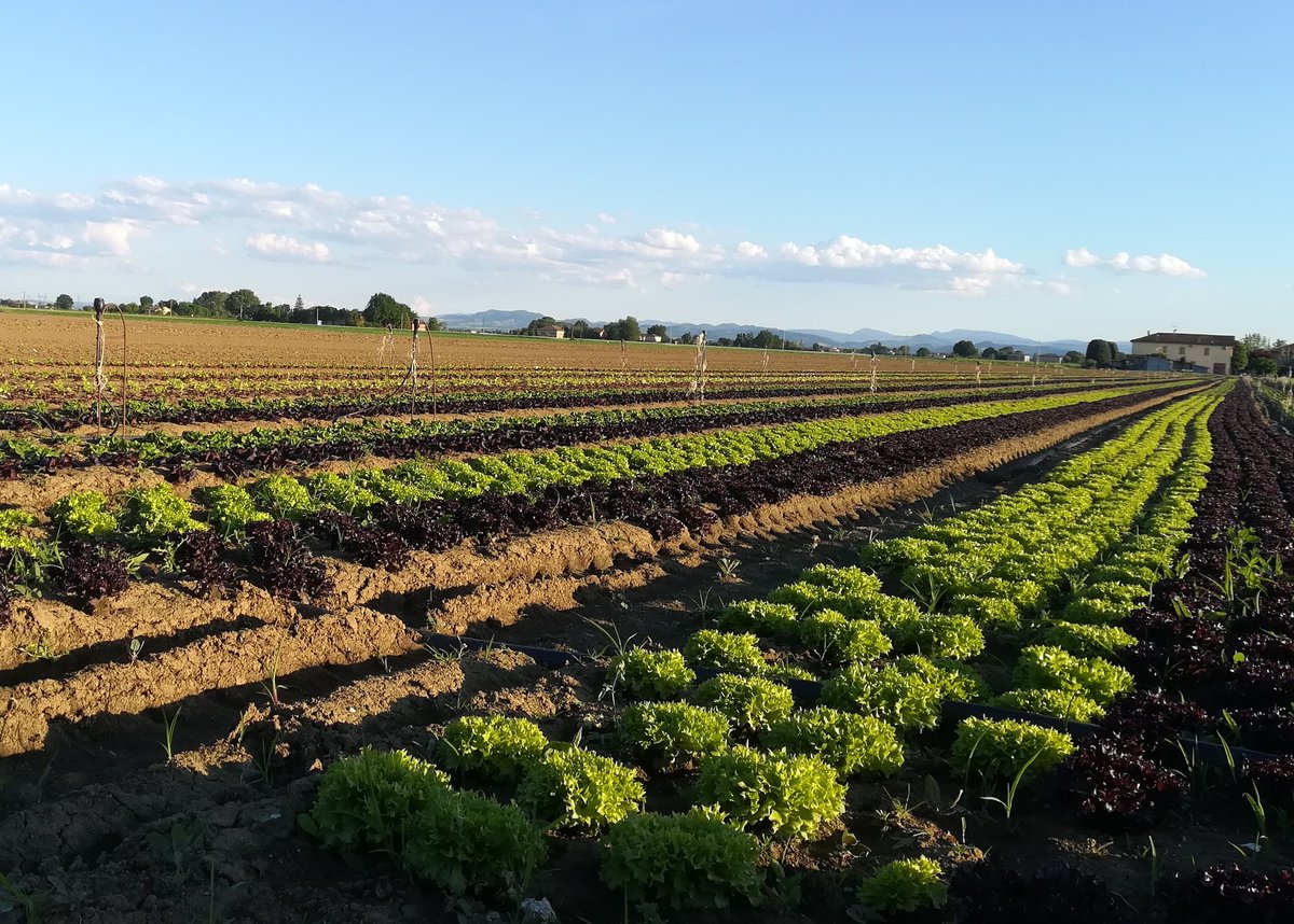 #WorldEnvironmentDay

We strongly believe that preserving our #environmentis a priority. Every one can do its own small actions, and we try do our part with passion and commitment. 🌱 🏞

#TessaAgritech #MoreKnowledgePerHectare