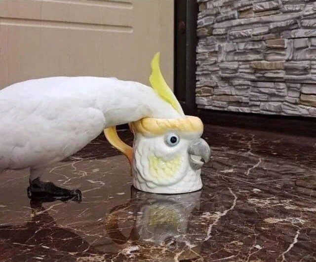 reality is a social construct