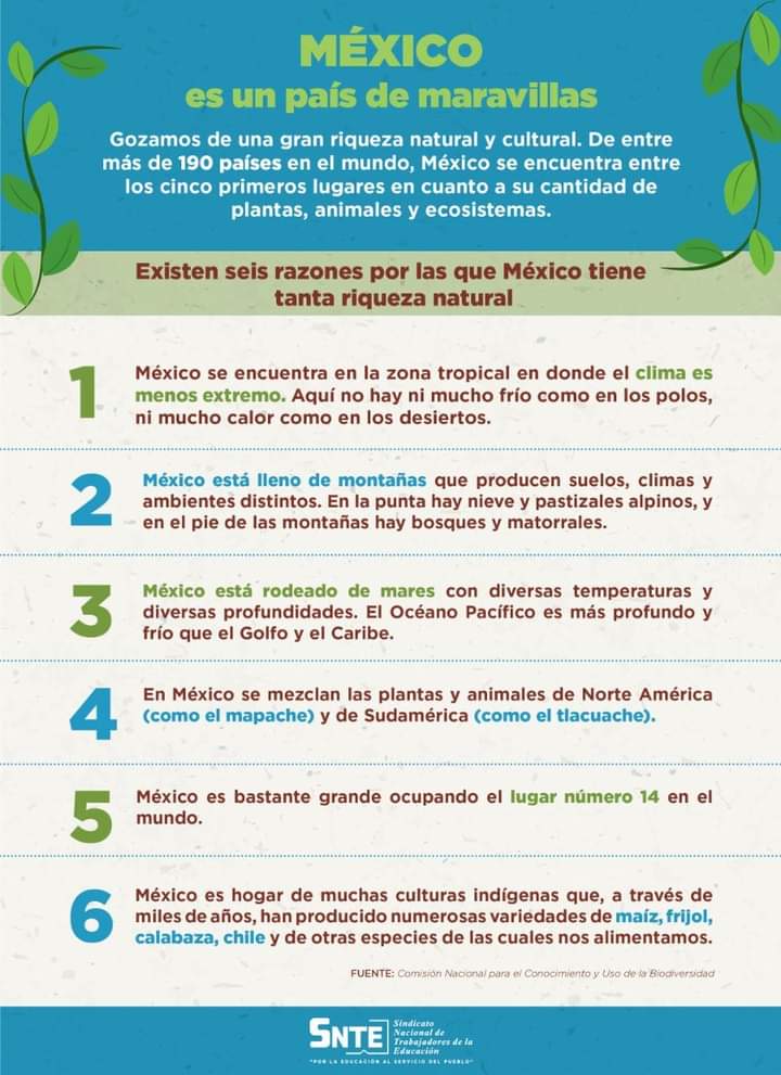 vivanmc06's tweet photo. #SNTEconMéxico 👩‍🏫🇲🇽👨‍🏫
Sabías que México es uno de los países con mayor riqueza natural 🤔❓ Conoce el porqué y súmate, como los maestros #SNTE 🍎📚 a la preservación de los ecosistemas
#5deJunio 🗓️
#DiaMundialDelMedioAmbiente 
https://t.co/c5r8g7lxik https://t.co/tyNiSjsNZa