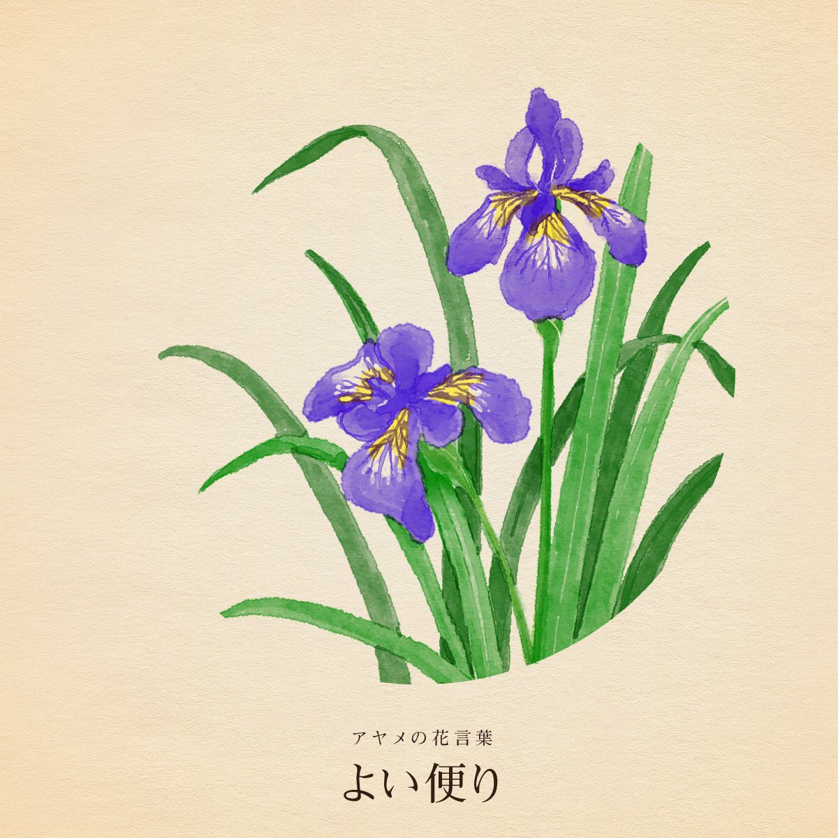 はな言葉 葉菜桜花子 新作ドレスできました きょう6月6日は 楽器の日 お稽古の日 邦楽の日 いけばなの日 飲み水の日 ロールケーキの日 ワイパーの日 補聴器の日 ヨーヨーの日 かえるの日 兄の日 恐怖の日 山形さくらんぼの日 吹き戻しの日 ひつじの日 家族 はな言葉 葉菜桜花子 新作ドレスできました きょう6月6日は 楽器の日 お稽古の日 邦楽の日 いけばなの日 飲み水の日 ロールケーキの日 ワイパーの日 補聴器の日 ヨーヨーの日 かえるの日 兄の日 恐怖の日 山形さくらんぼの日 吹き戻しの日 ひつじの日 家族