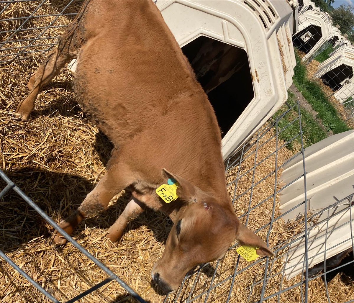 Fiveatdelph tweet media