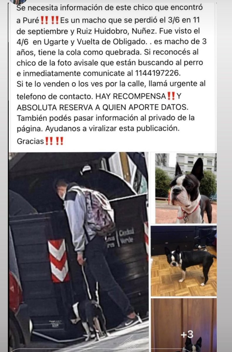 Pitu78OK's tweet photo. @JEYMAMMON @orisabatini ayuda con un RT pueden salvarlo!!!!, nos robaron a Puré!!! #URGENTE https://t.co/Mn3kSBW7CH