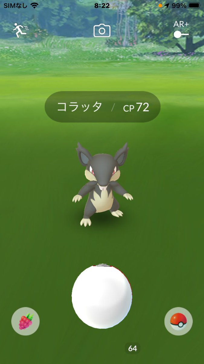 ポケモンgo コラッタの色違い 入手方法と実装状況 攻略大百科 ポケモンgo コラッタの色違い 入手方法と実装状況 攻略大百科
