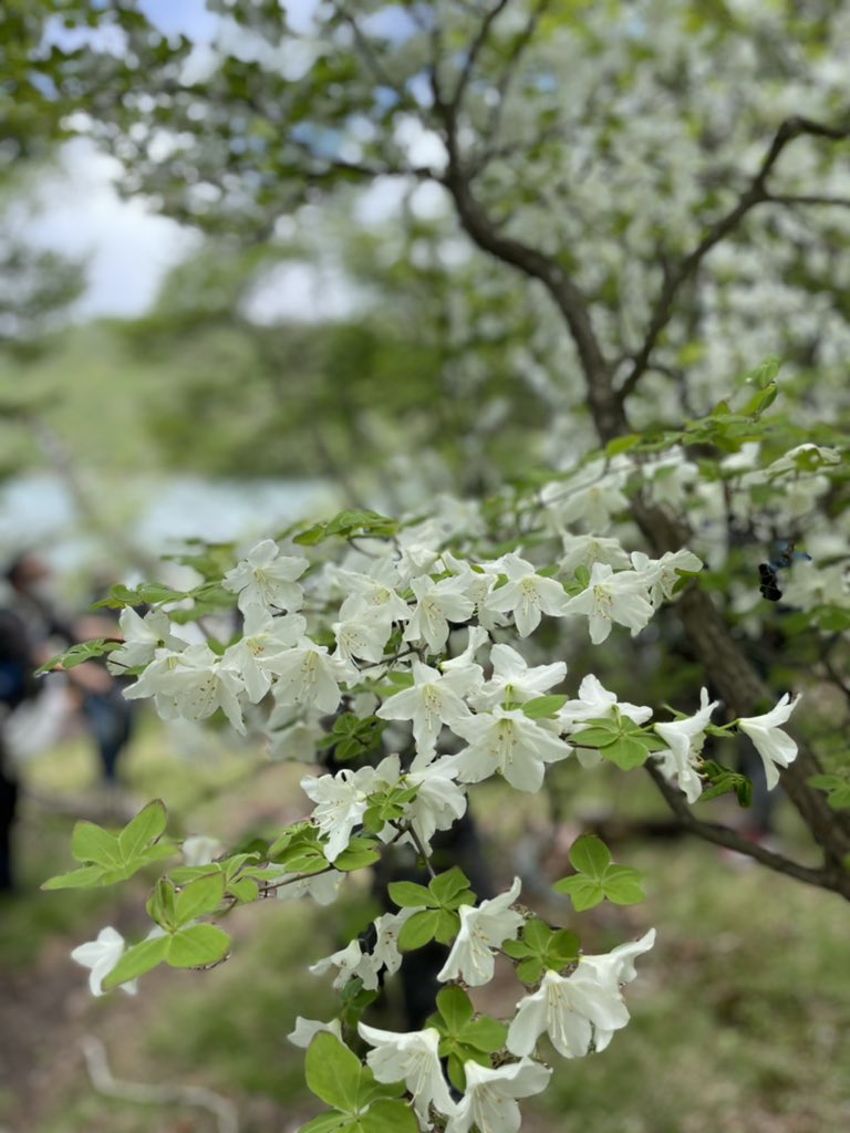21年06月06日の赤城山 赤城山日記 21年06月06日の赤城山 赤城山日記