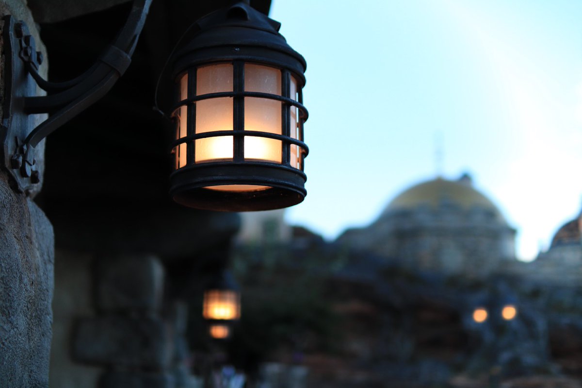ディズニー風景写真 ディズニー風景写真