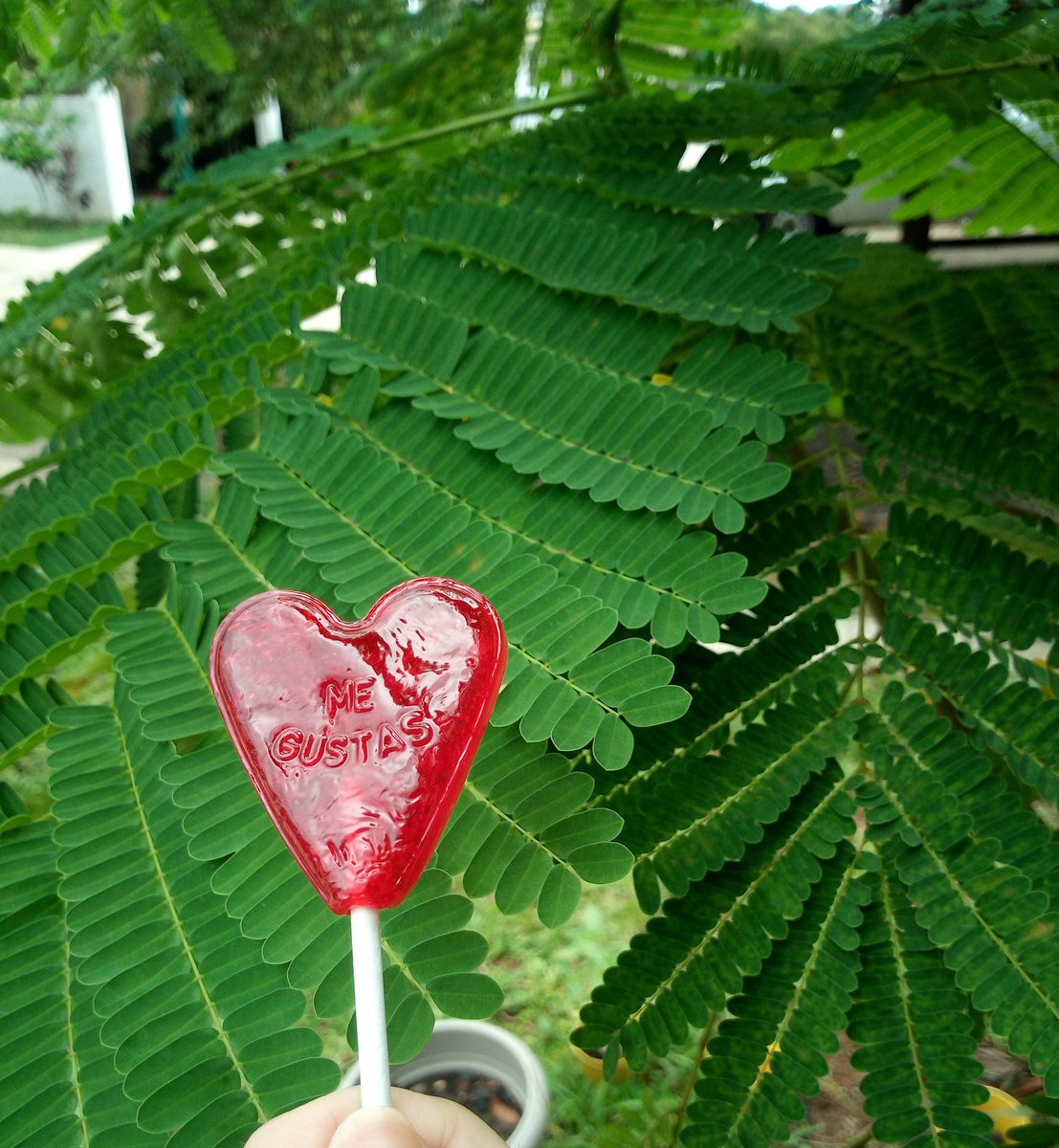 sug-sugarboo (@su_sugar_boo) | Twitter