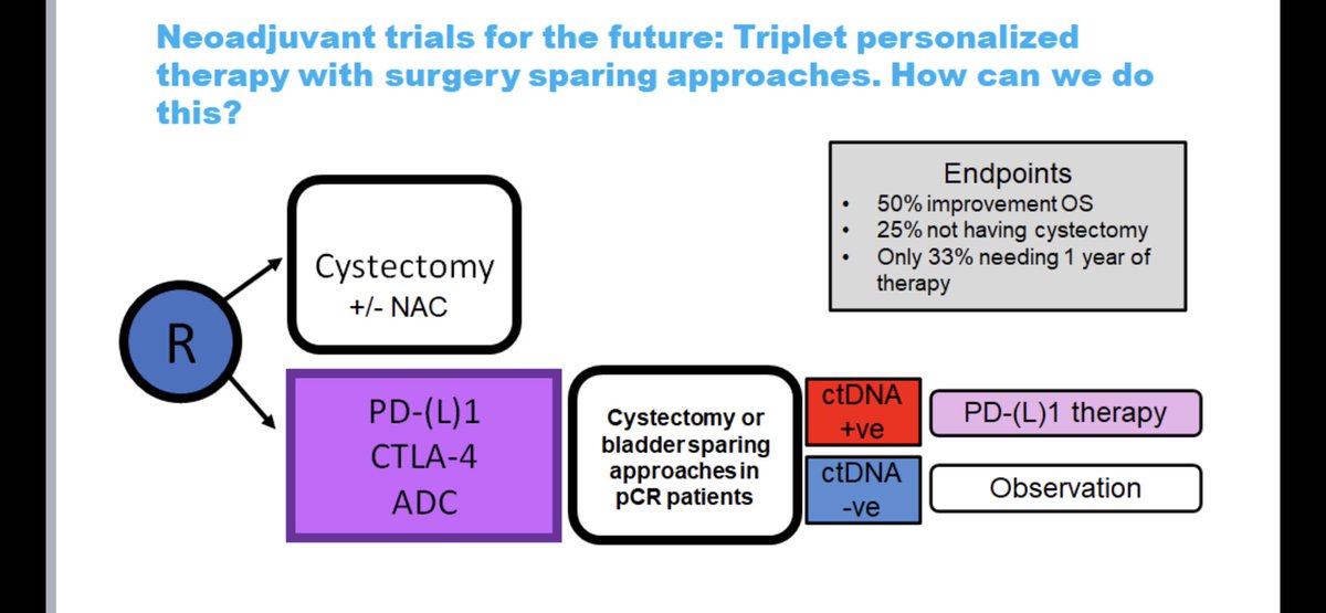 Asco session: This trial would be perhaps the most ambitious way of curing a high proportion of patients UC, while avoiding cystectomy where possible, and only giving adjuvant therapy to those that need it. Can we do this study? I hope in parts at least.  #ASCO2021 @OncoBellmunt