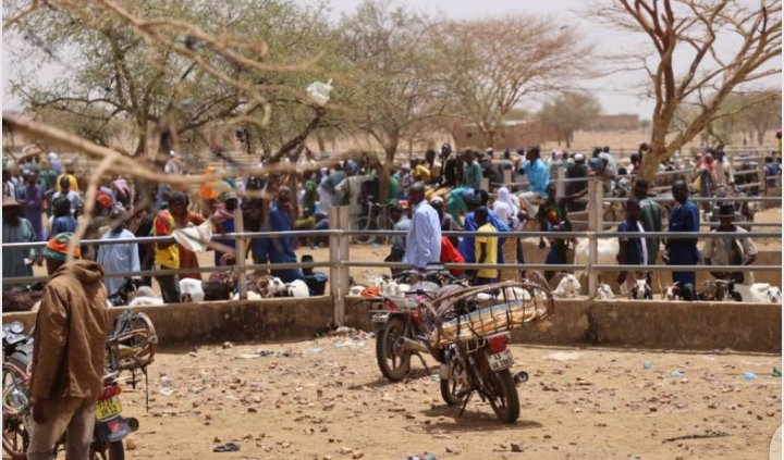 HarounaSimbo's tweet photo. Plus de cent civils tués  à Solhan. Le 17 mai, le ministre de la défense était à Sebba, à 15km de Solhan. Une ville sous contrôle de l'armée, de retour de la paix, de reprise des activités socio-économiques présentée à l'opinion #Sahel #Burkina 
Lire ici : https://t.co/tVngIqP2Wo https://t.co/ZAFR24awnP