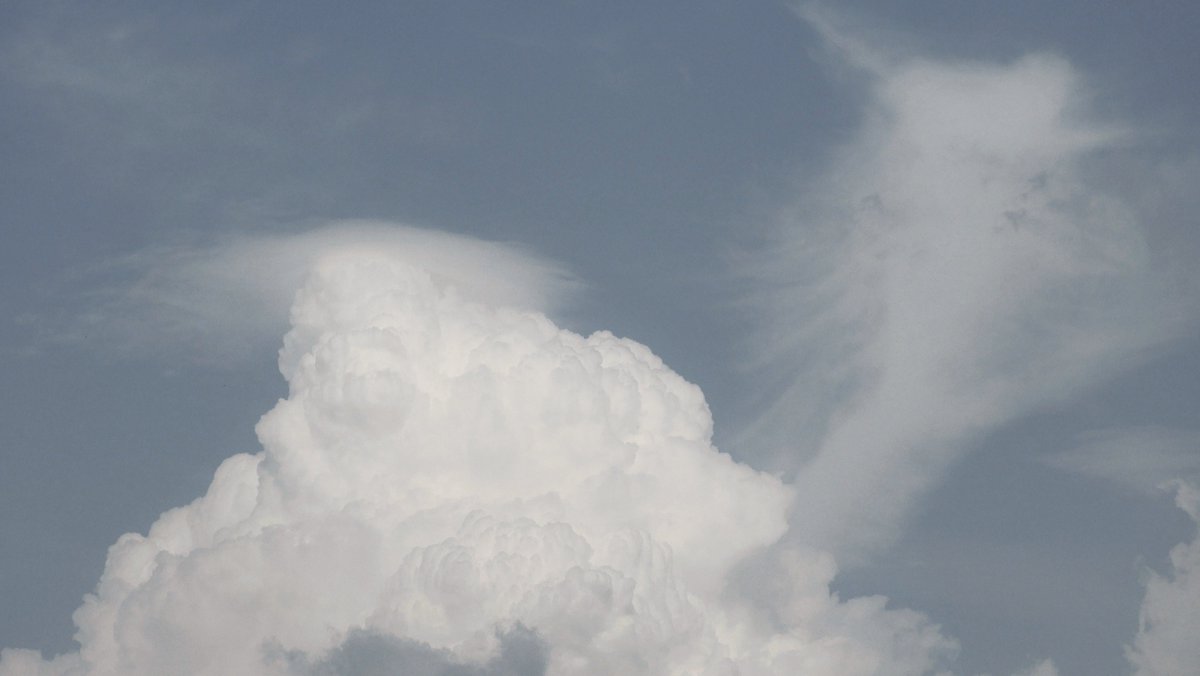 klaaswillemb's tweet photo. Afgelopen donderdag, prachtige ploffers op afstand (foto 2 met #aambeeld en #ijskap is waarschijnlijk de #wolkbreuk boven #harderberg) #stormhour @EspanaTormentas @Nedweergroep @KeraunosObs @weatherchannel @OakCreekWx https://t.co/9d0ROllS0a