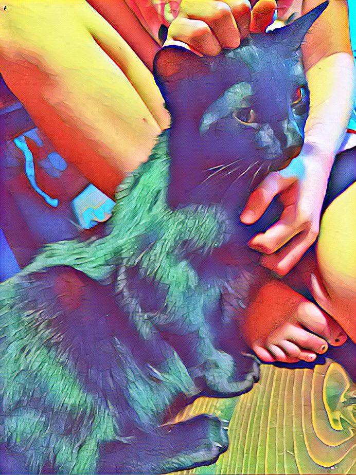 flamesrebirth's tweet photo. Ezio love #Caturday #fliterfun https://t.co/f2KPsmvsve