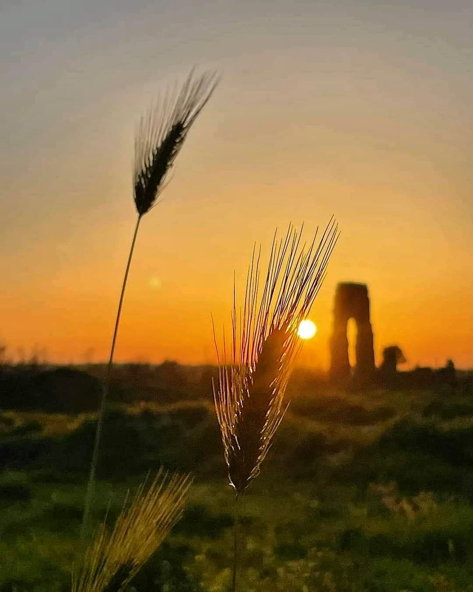 Parco degli Acquedotti, Roma, Lazio