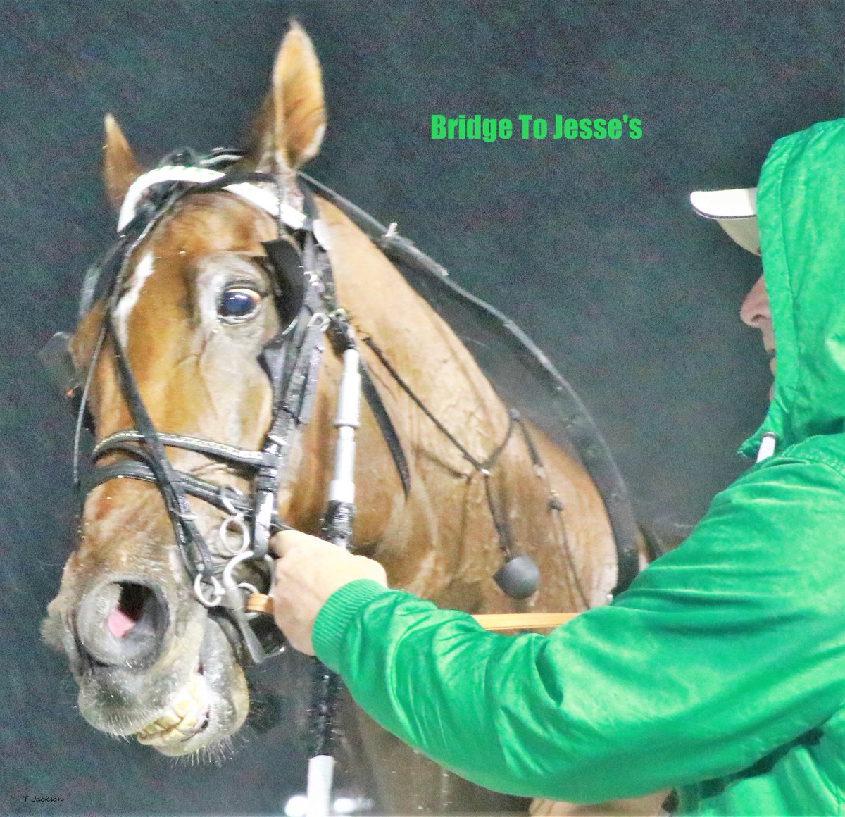 hoosiernations's tweet photo. #IndySired tonight
@HoP_Racing 
R7pp9 #RockinNola @joeyputnam13 for @AndPutnam 
R11pp6 #BridgeToJesses M Oosting for @Gowelchkin &amp; @Teamgreenqueen 
@TheMeadowlands
R6pp4 #EmmaTownBud A McCarthy for Byron Hooley
@NfldPark
R10pp2 #LittleRocketMan @jdelongracing for @MissyEssig 🍀🍀 https://t.co/szOIcz9oyX